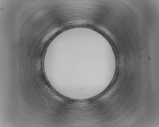 X0000071770778200607282212