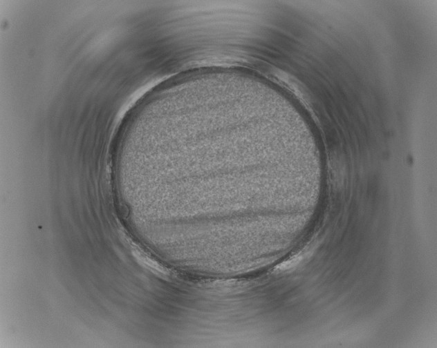 X0000071770779200607282212