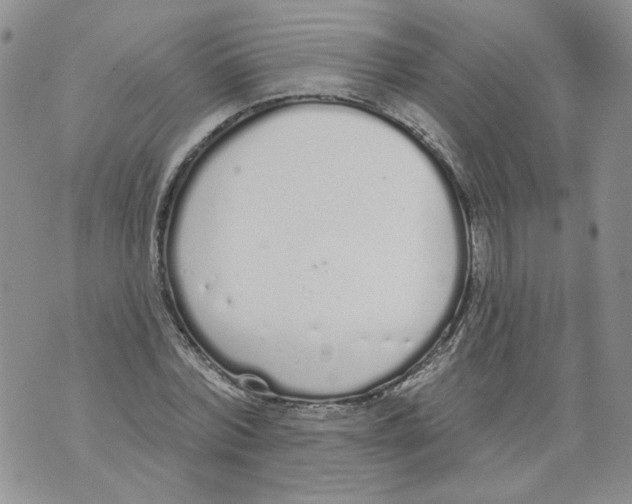 X0000071770780200607282212