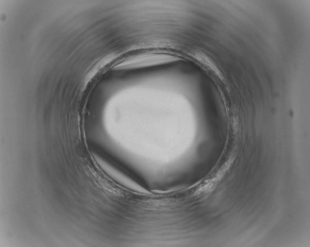 X0000071770781200607282212