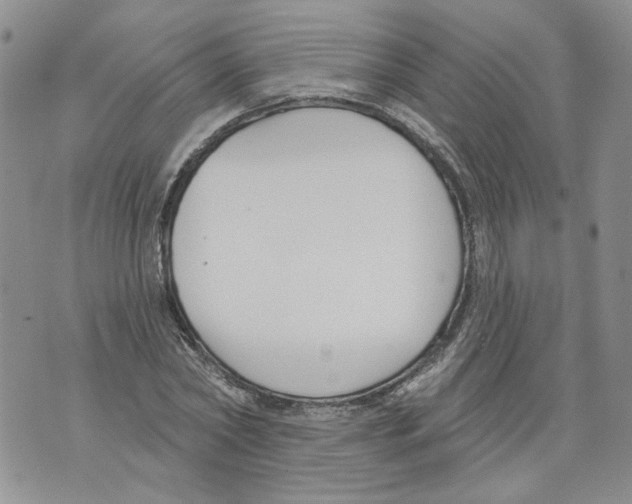 X0000071770782200607282212