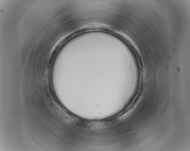 X0000071770783200607282212