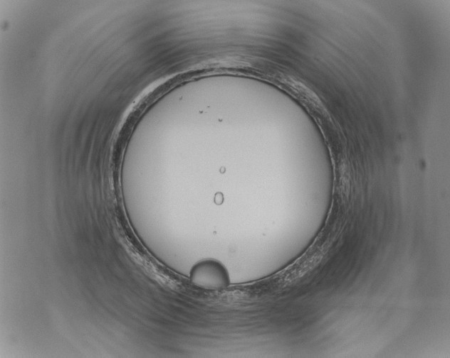 X0000071770784200607282212