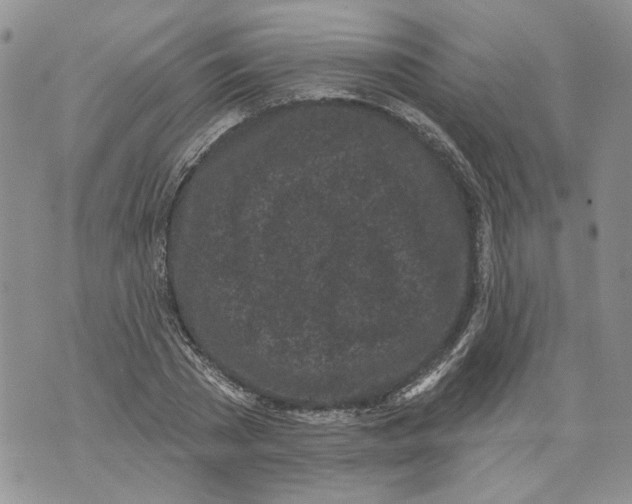 X0000071770785200607282212