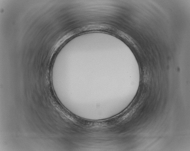 X0000071770786200607282212