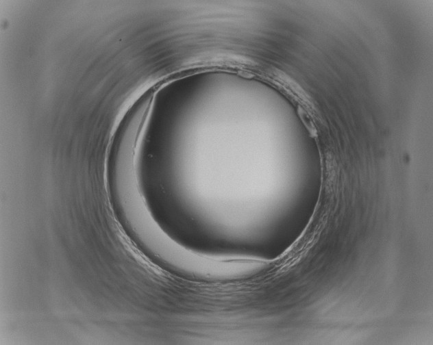 X0000071770788200607282212