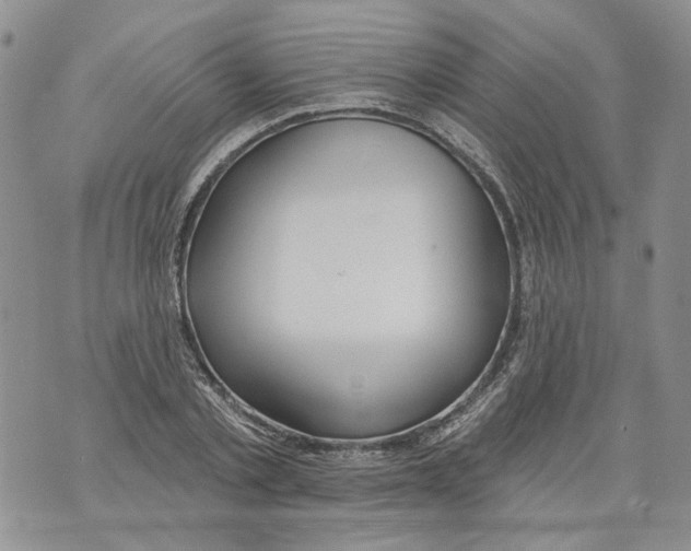 X0000071770789200607282212