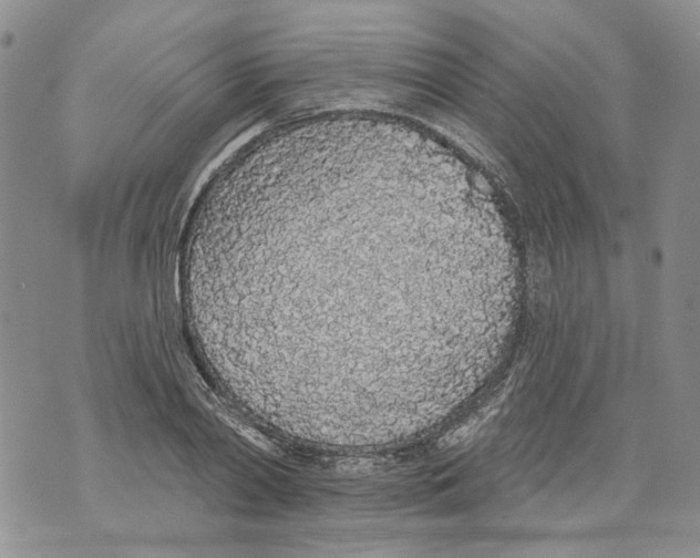 X0000071770790200607282212