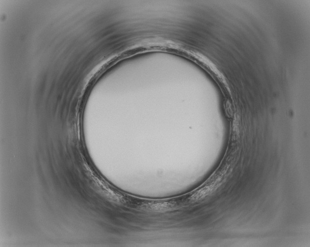 X0000071770791200607282212