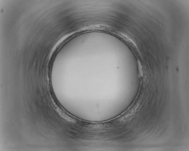 X0000071770792200607282212