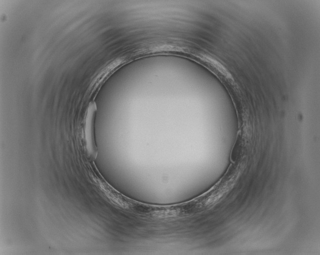 X0000071770793200607282212