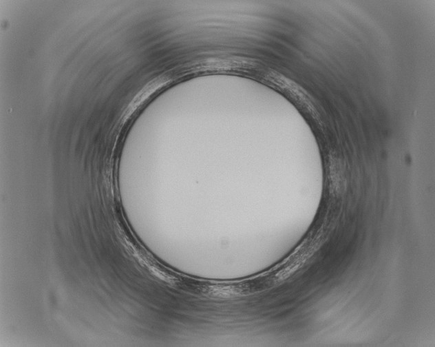 X0000071770794200607282212