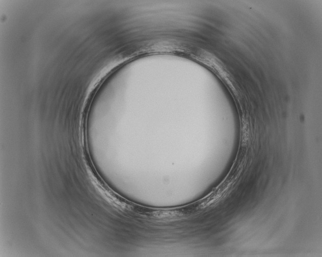 X0000071770795200607282212