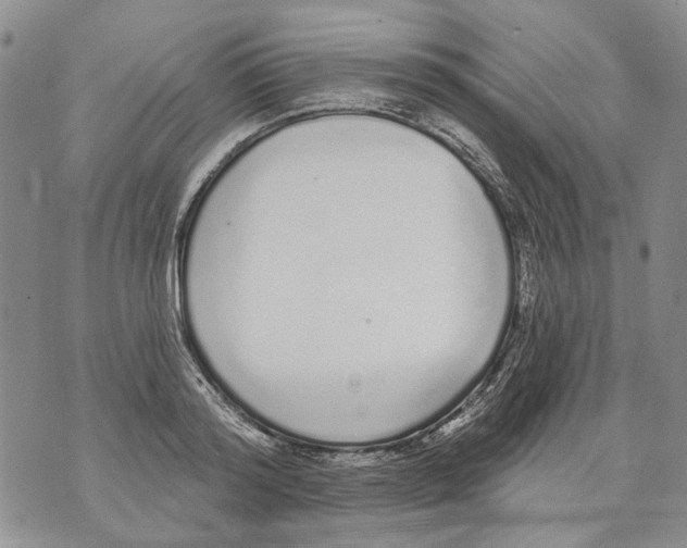 X0000071770796200607282212