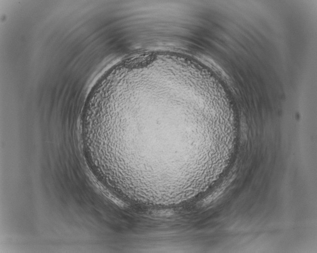 X0000071770798200607282212