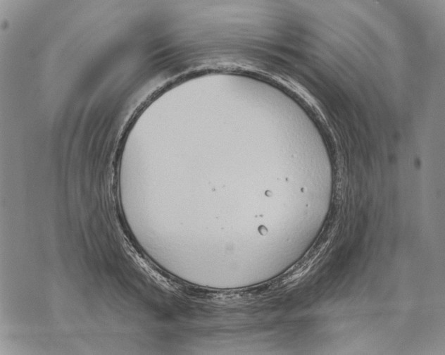 X0000071770799200607282212