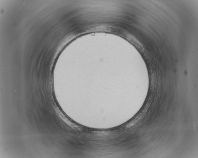 X0000071770800200607282212