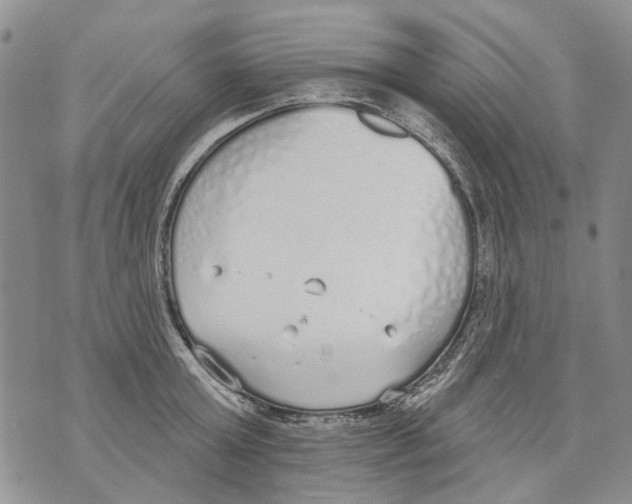 X0000071770803200607282212