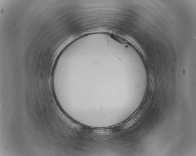 X0000071770805200607282212