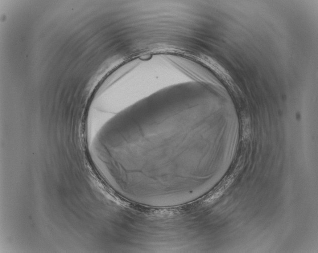 X0000071770806200607282212