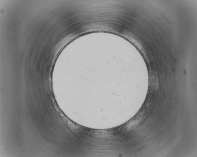 X0000071770807200607282211