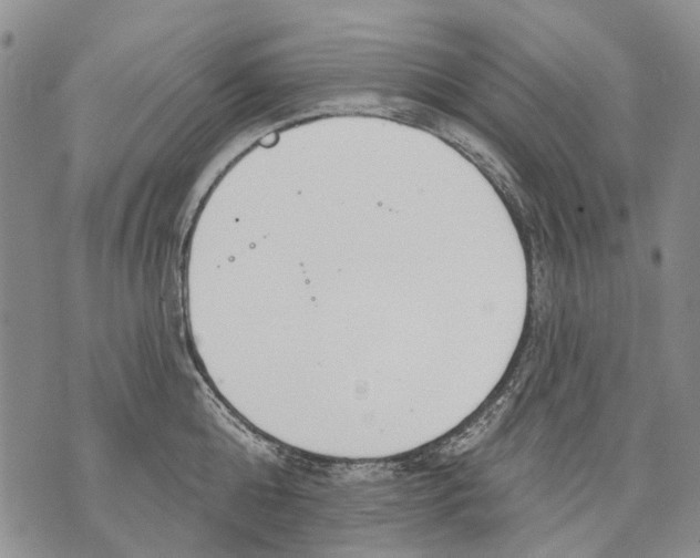 X0000071770808200607282211