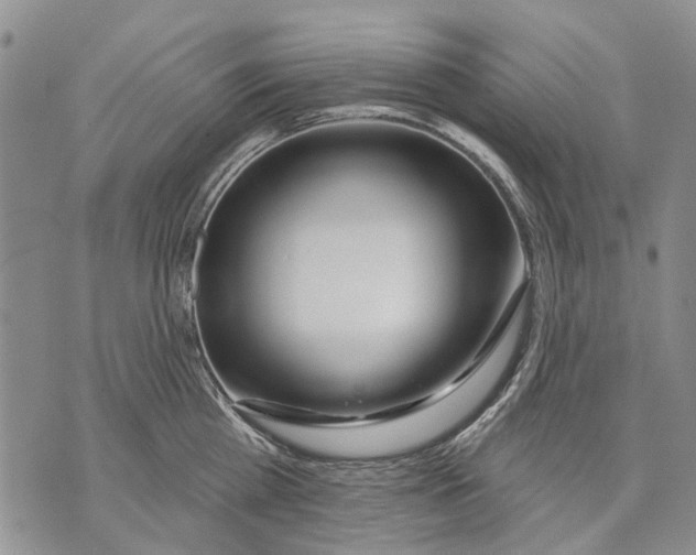 X0000071770809200607282211