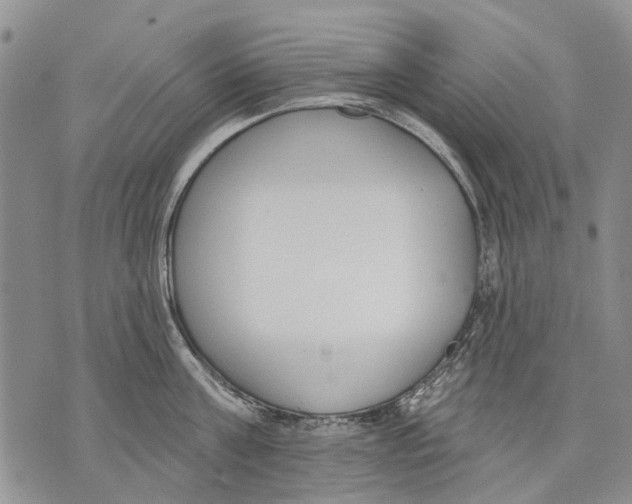 X0000071770811200607282211