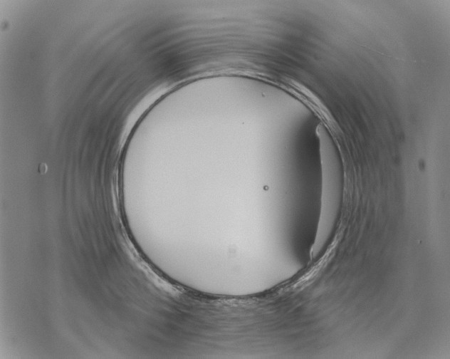 X0000071770812200607282211