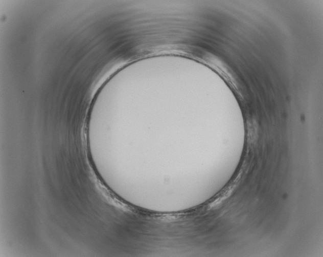 X0000071770814200607282211