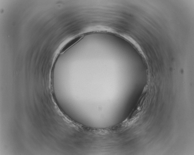 X0000071770815200607282211