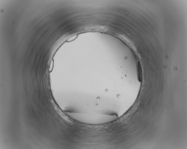 X0000071770816200607282211