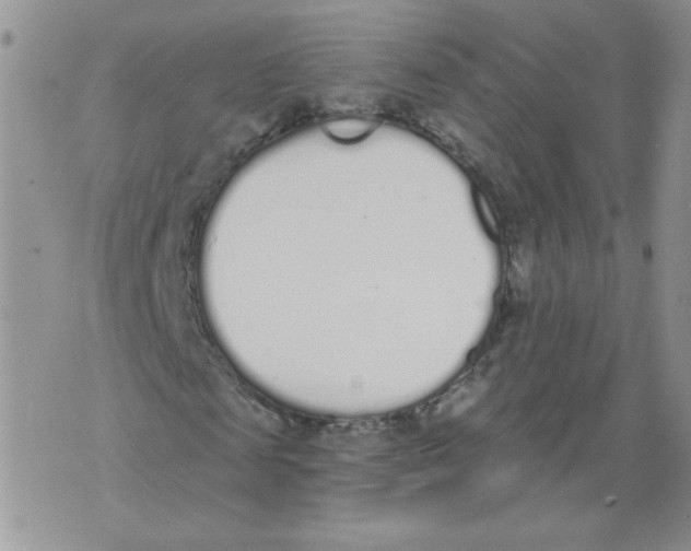 X0000071770817200607282211