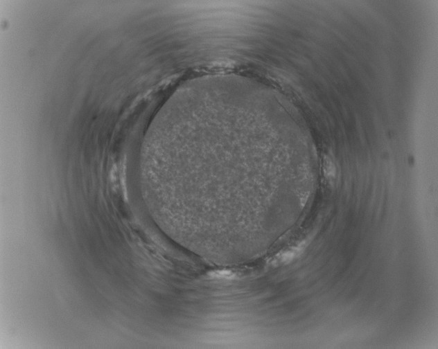 X0000071770818200607282211