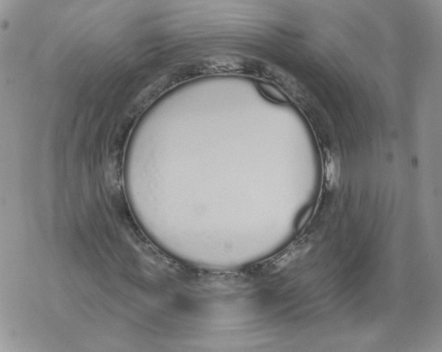 X0000071770819200607282211