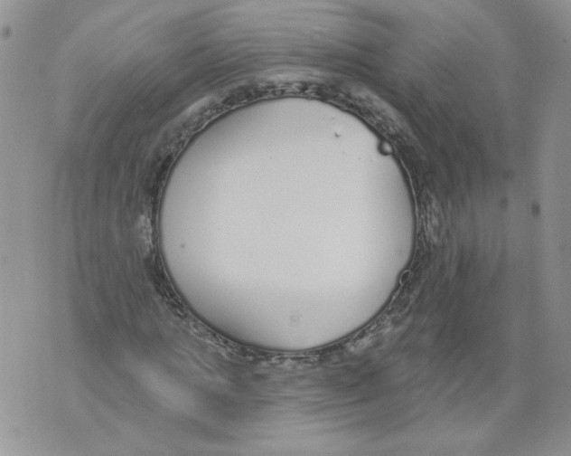 X0000071770821200607282211