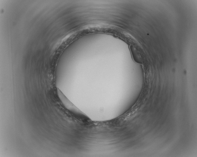 X0000071770822200607282211