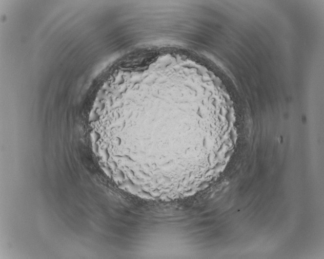 X0000071770823200607282211