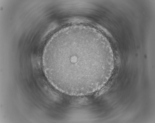 X0000071770824200607282211