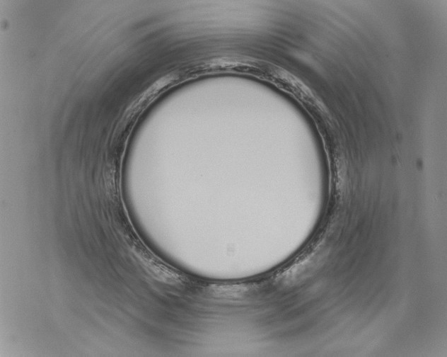 X0000071770825200607282211