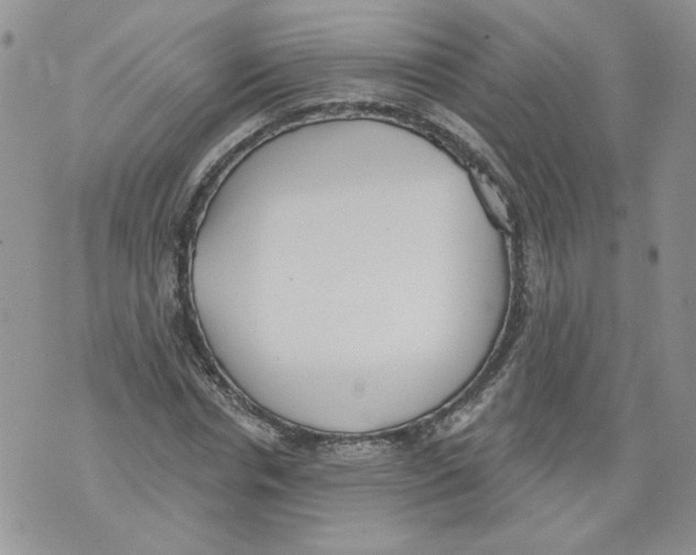 X0000071770826200607282211