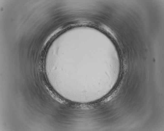 X0000071770827200607282211