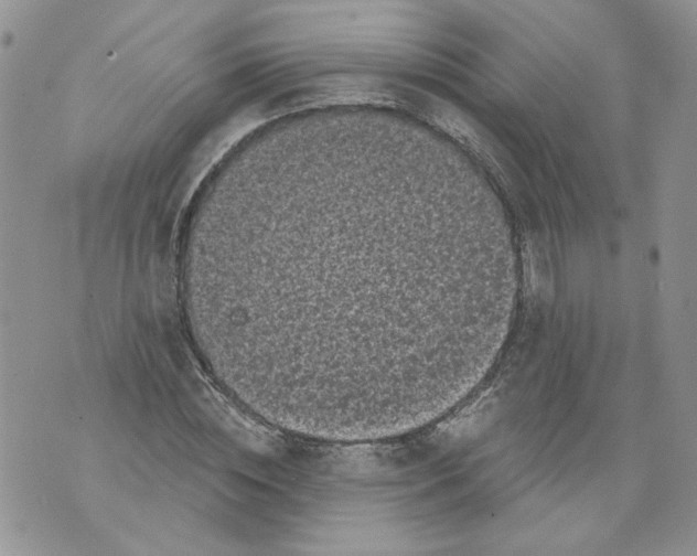 X0000071770828200607282211