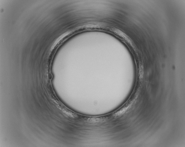 X0000071770829200607282211