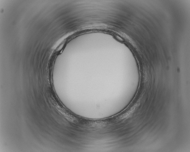 X0000071770830200607282211