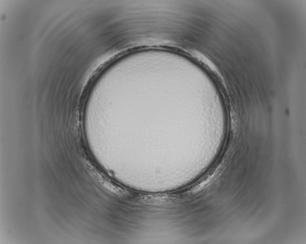 X0000071770831200607282211