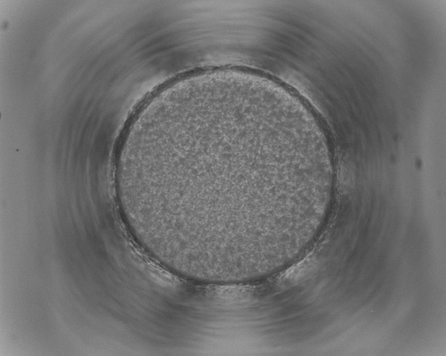 X0000071770832200607282211