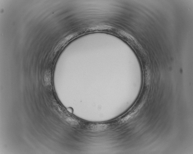 X0000071770833200607282211