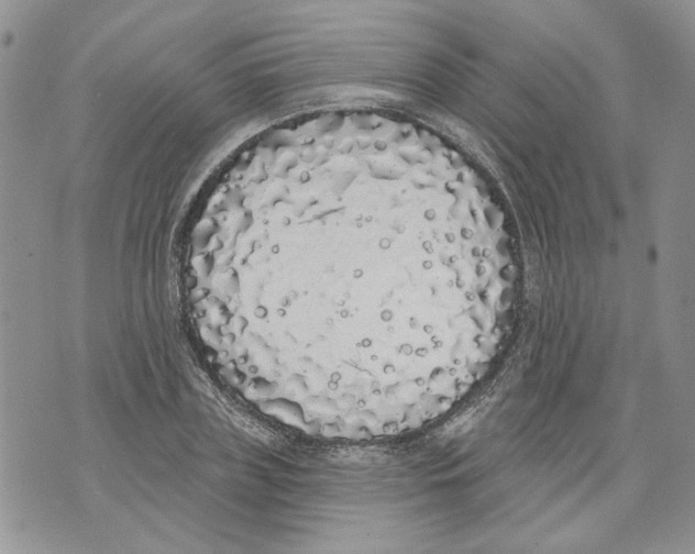 X0000071770835200607282211