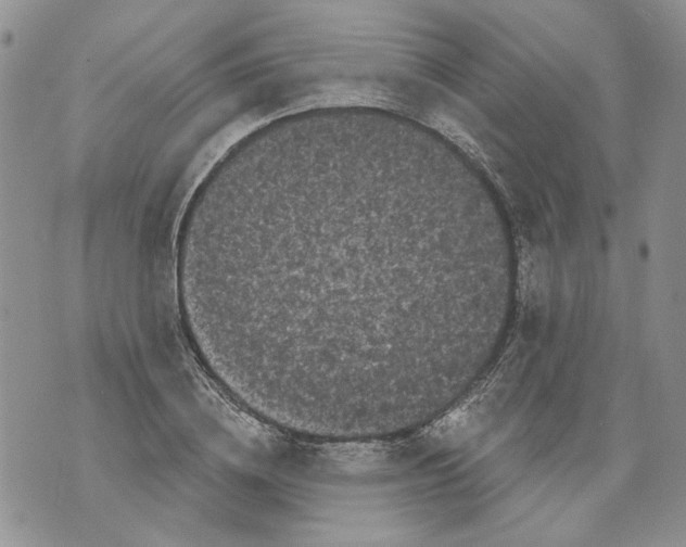 X0000071770836200607282211